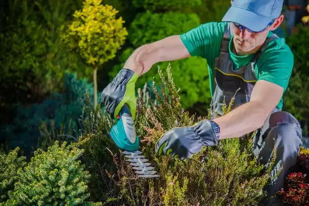 landscaping services East Harwich